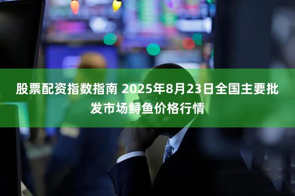股票配资指数指南 2025年8月23日全国主要批发市场鲟鱼价格行情